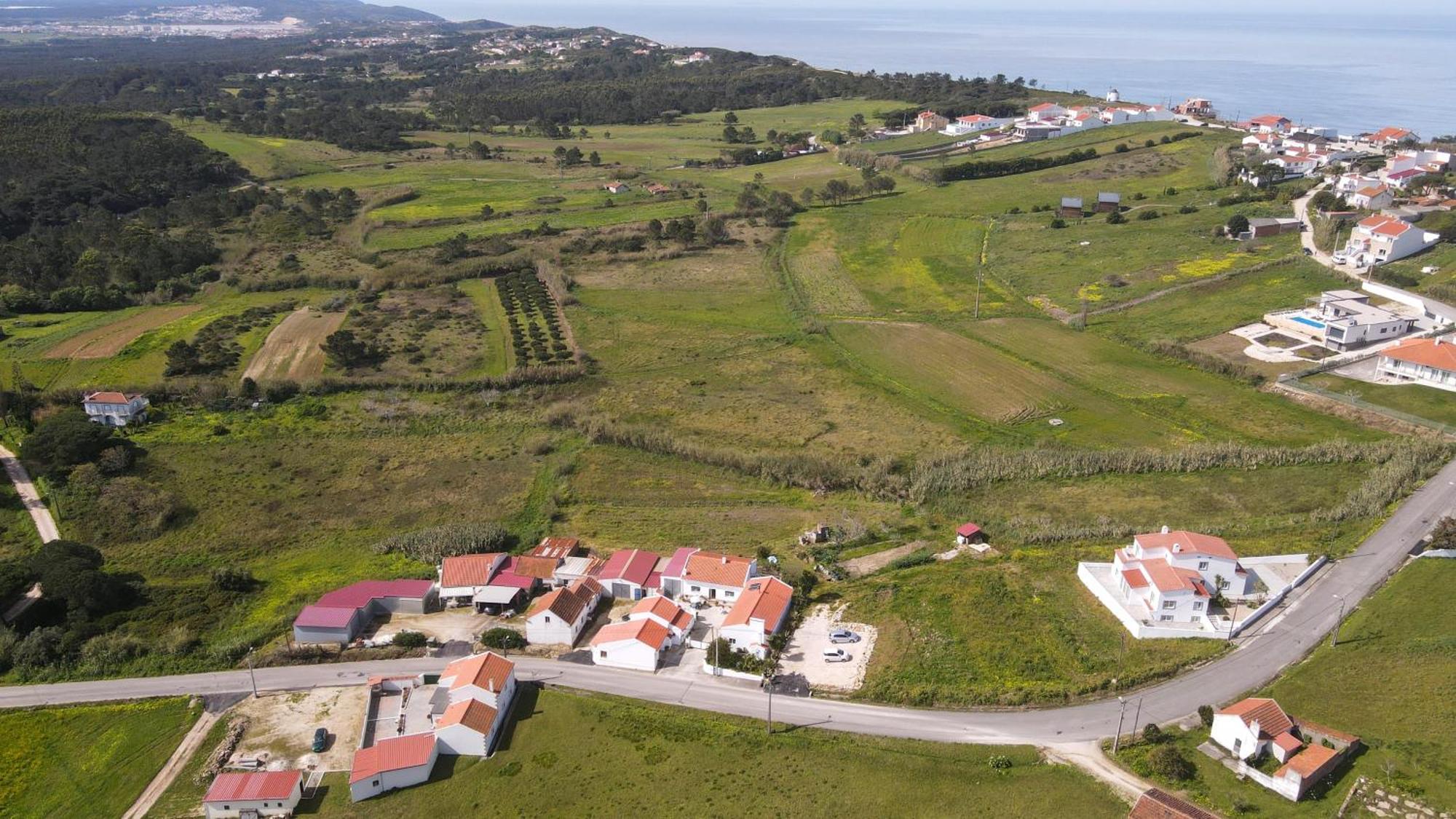 Casas Com Amoras In Serra Da Pescaria Famalicão Exteriér fotografie